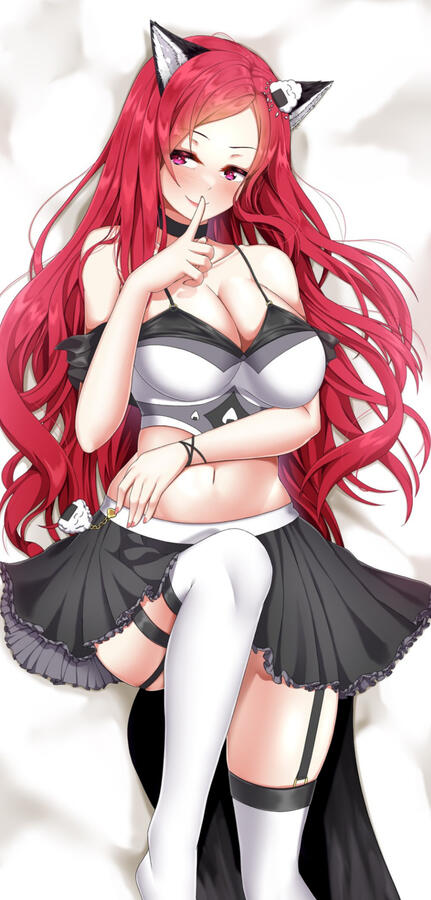 Dakimakura exklusiv
