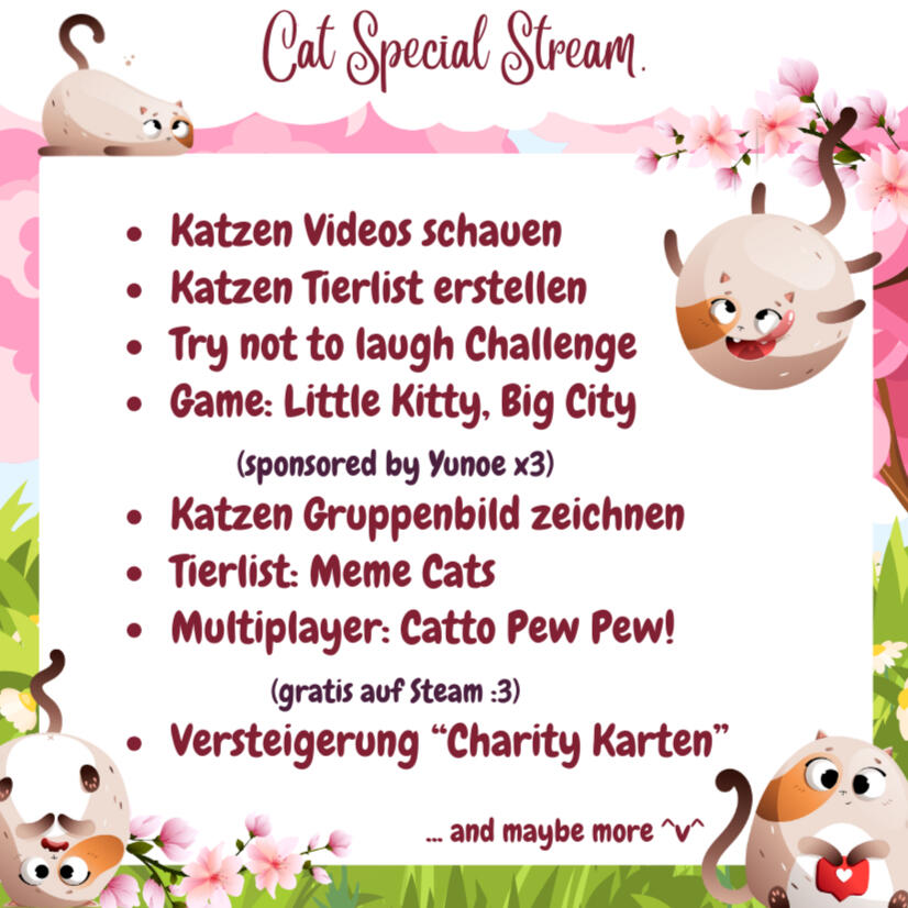 Cat Special Stream 2024