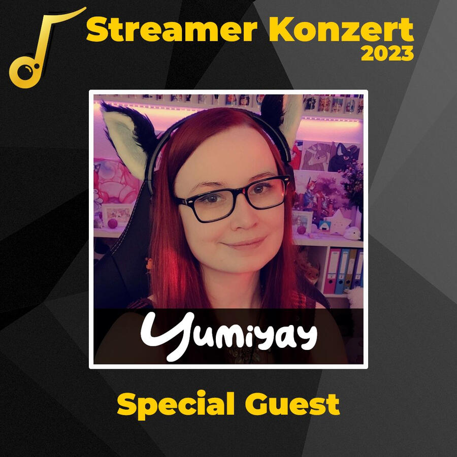 Streamer Konzert 2023